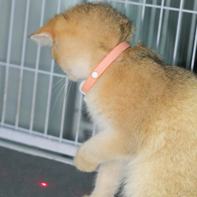 Collar con Laser