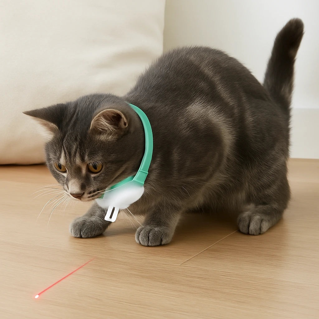 Collar con Laser